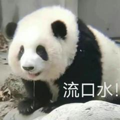歌手第三期歌单